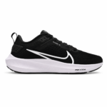Nike zoom pegasus 40