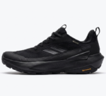 Adidas Terrex Gore Tex
